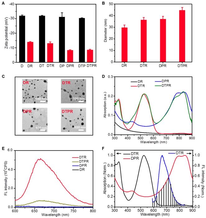 Theranostics Image