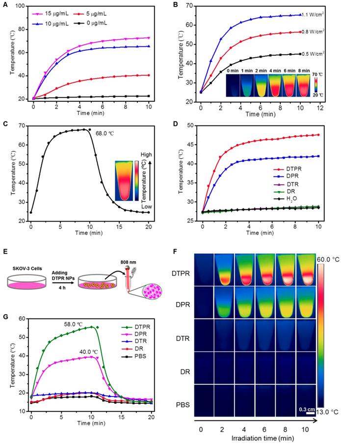 Theranostics Image