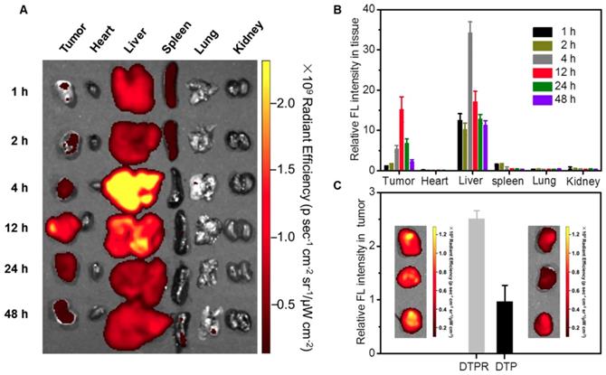 Theranostics Image