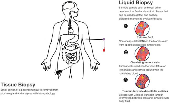 Theranostics Image