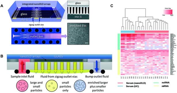 Theranostics Image