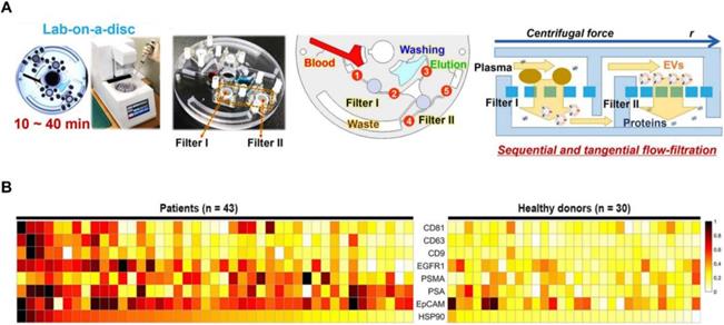 Theranostics Image