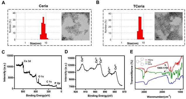 Theranostics Image