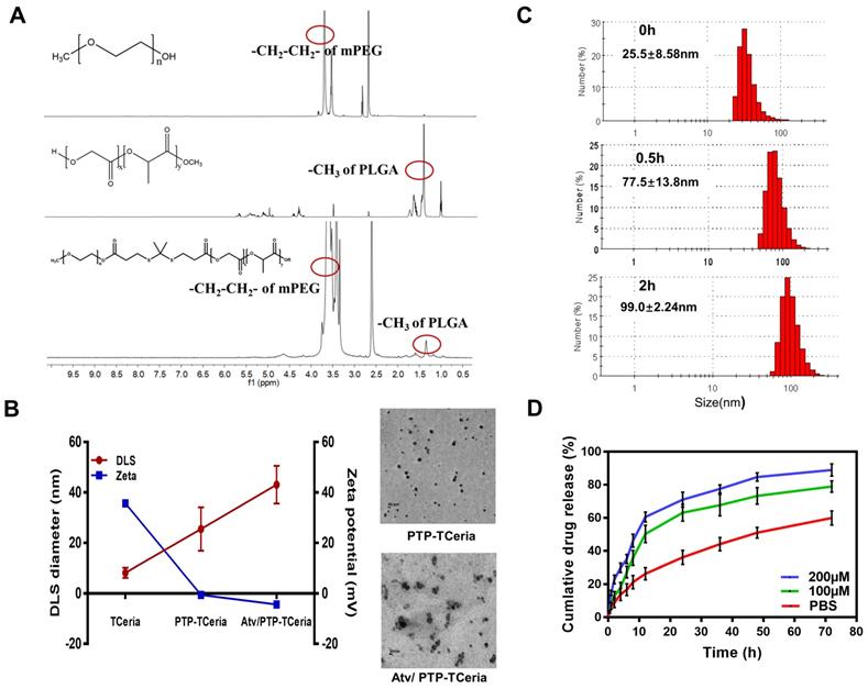 Theranostics Image