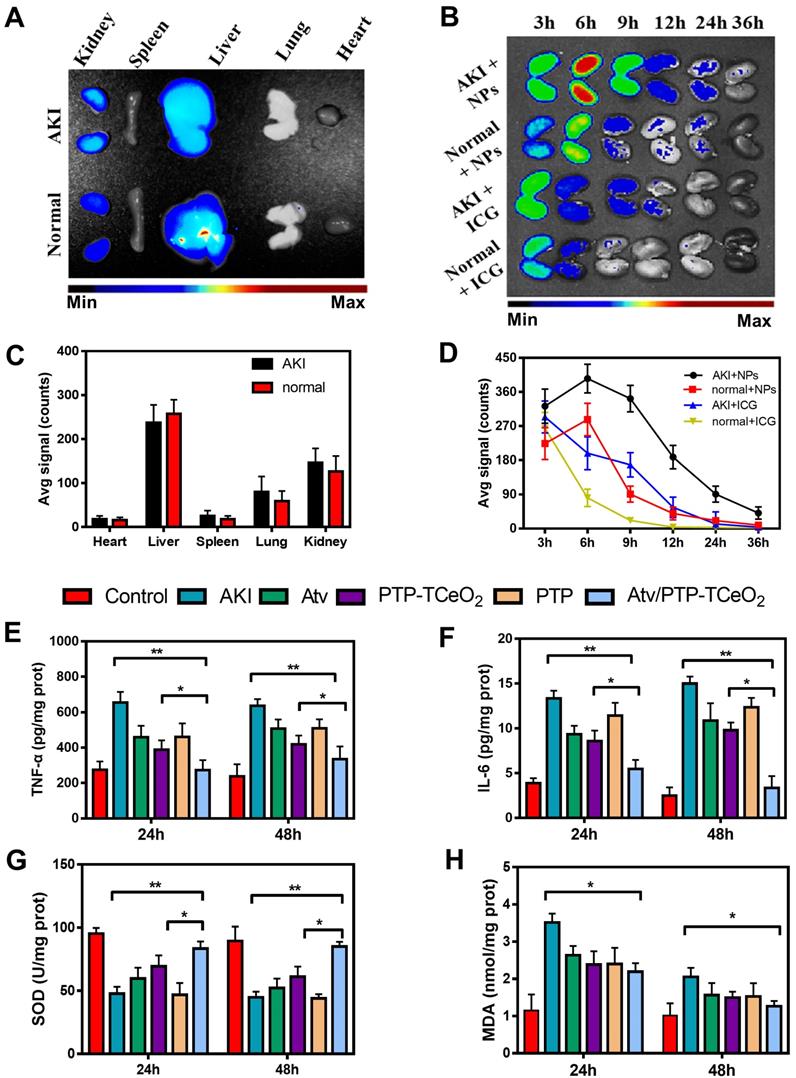 Theranostics Image