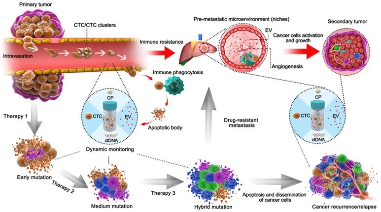 Theranostics Image