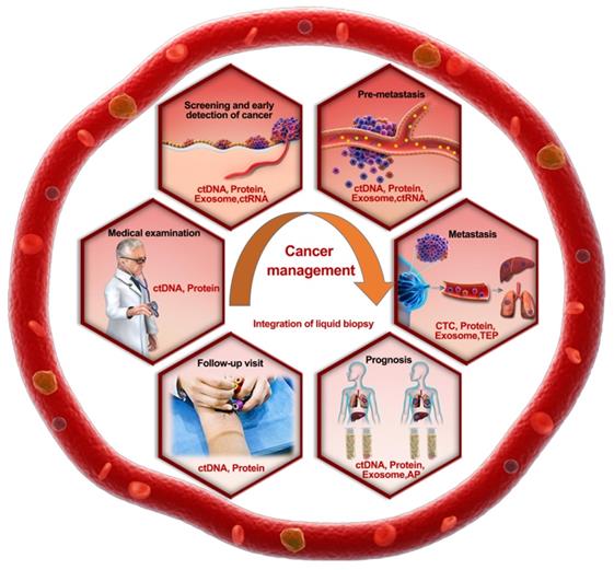 Theranostics Image