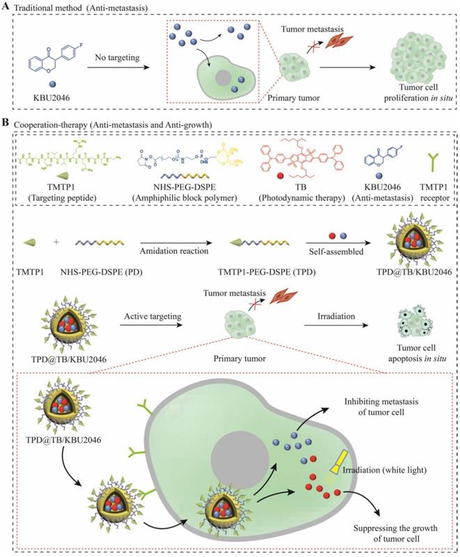 Theranostics Image