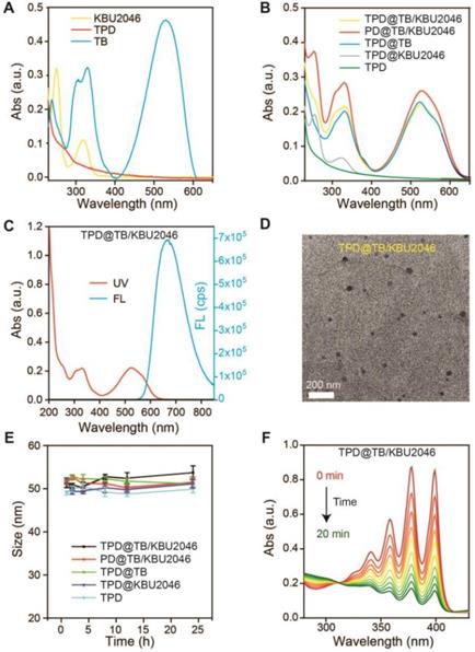 Theranostics Image