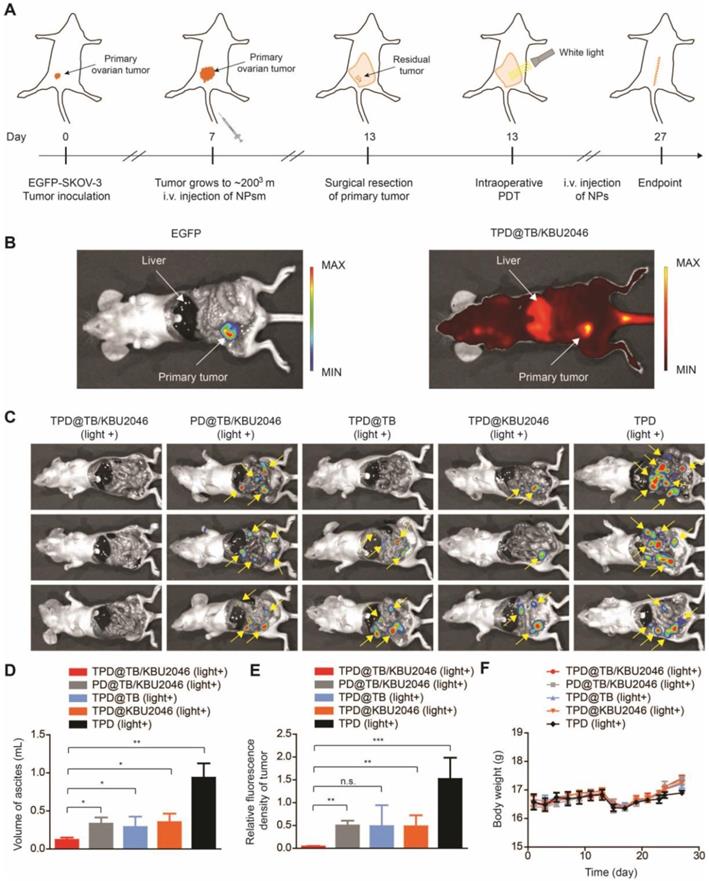 Theranostics Image