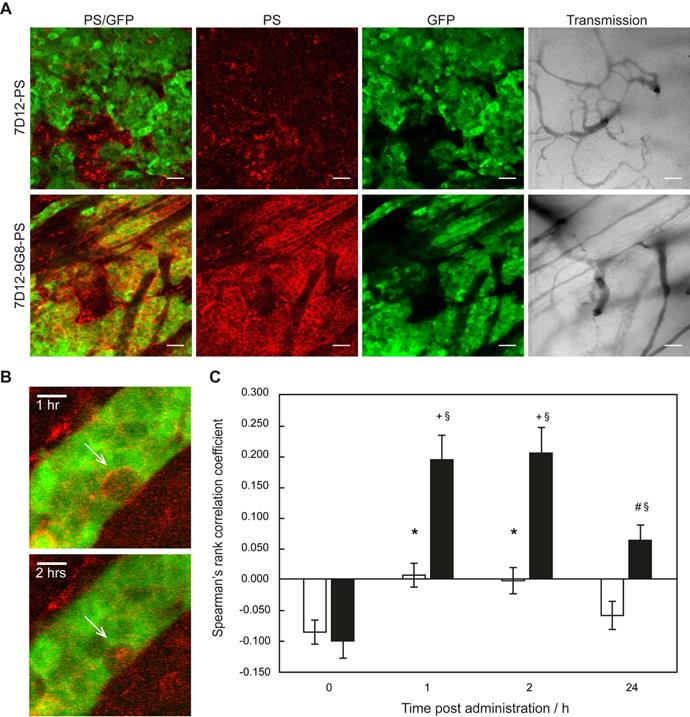 Theranostics Image