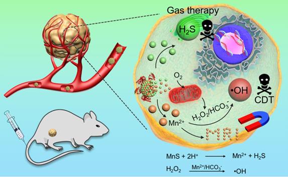 Theranostics Image