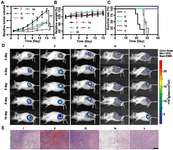 Theranostics Image