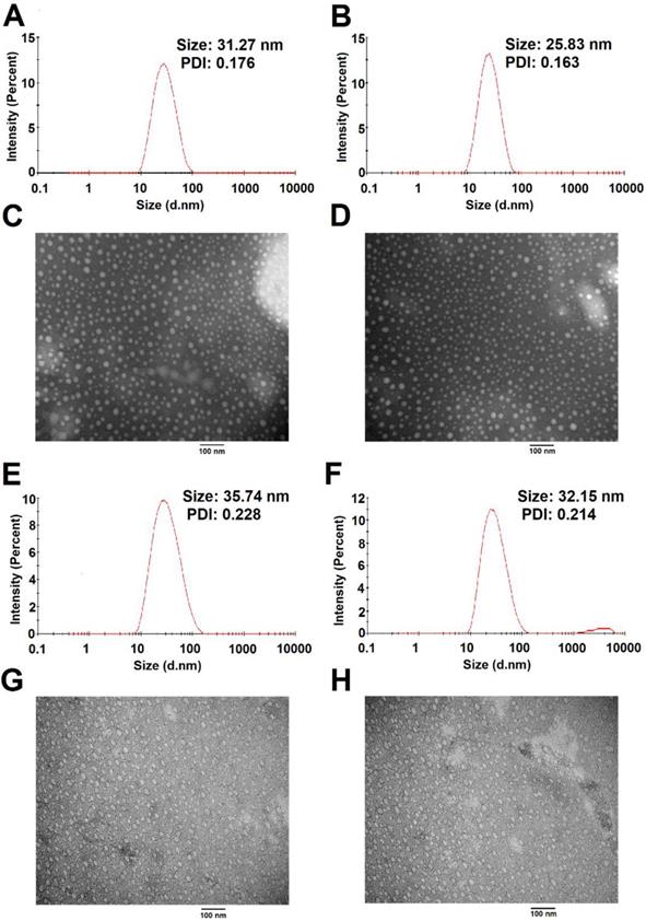 Theranostics Image