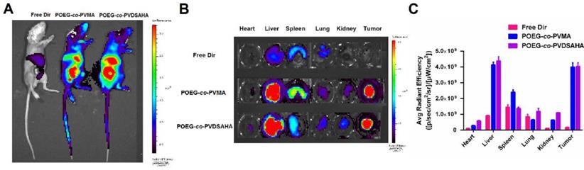 Theranostics Image