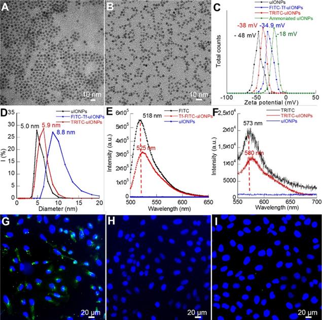 Theranostics Image