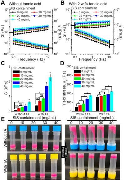 Theranostics Image