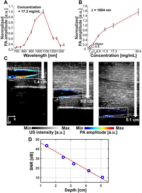 Theranostics Image