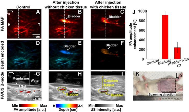 Theranostics Image