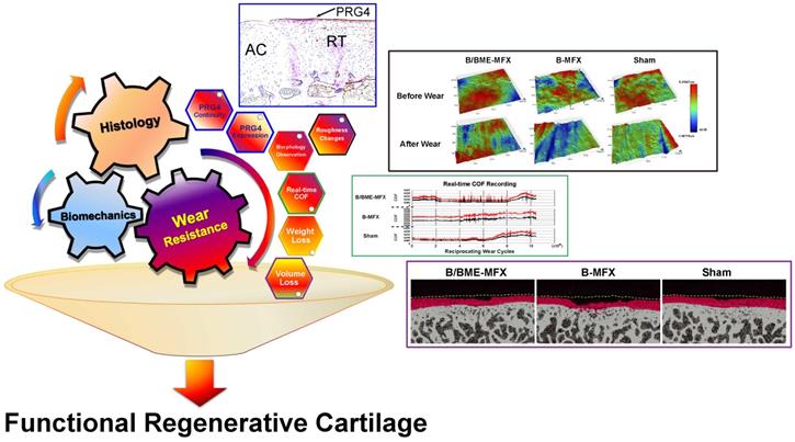 Theranostics Image