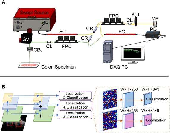 Theranostics Image