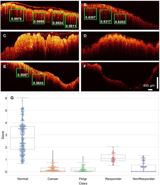 Theranostics Image