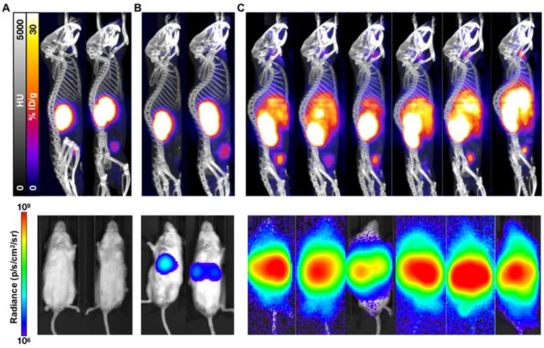 Theranostics Image