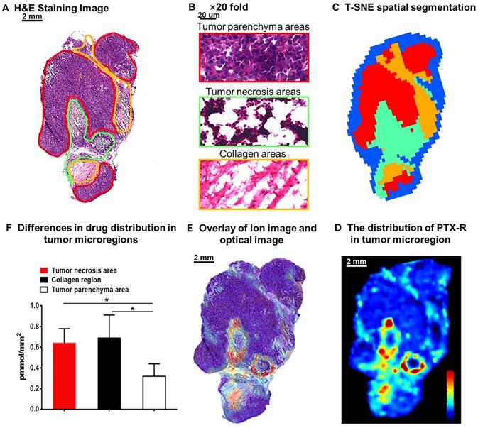 Theranostics Image