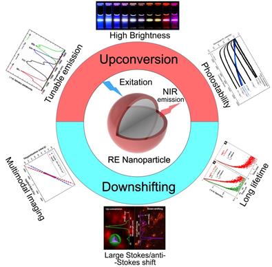 Theranostics Image