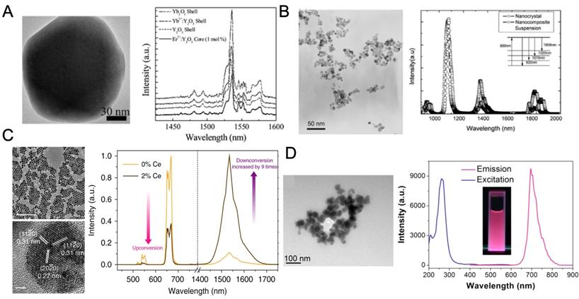 Theranostics Image