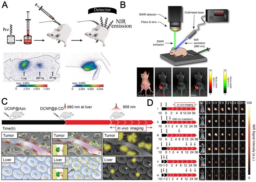 Theranostics Image