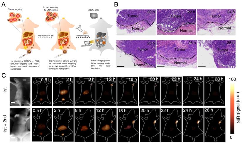 Theranostics Image