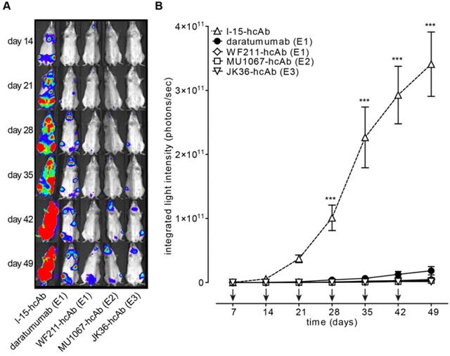 Theranostics Image