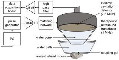 Theranostics Image