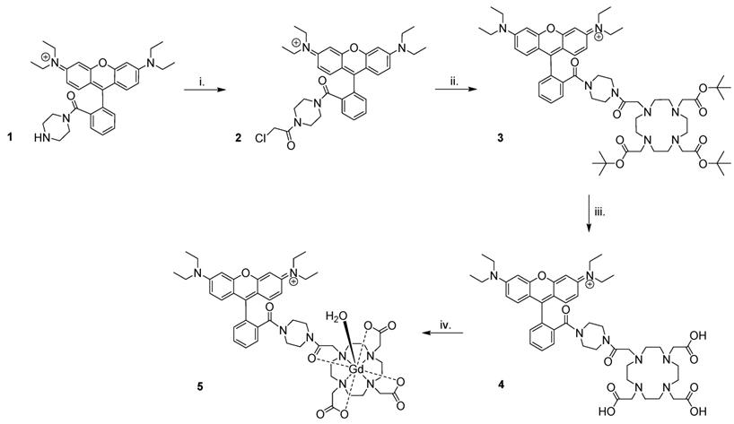 Theranostics Image