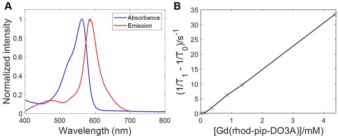 Theranostics Image