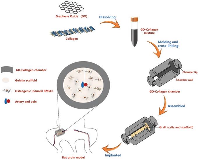 Theranostics Image