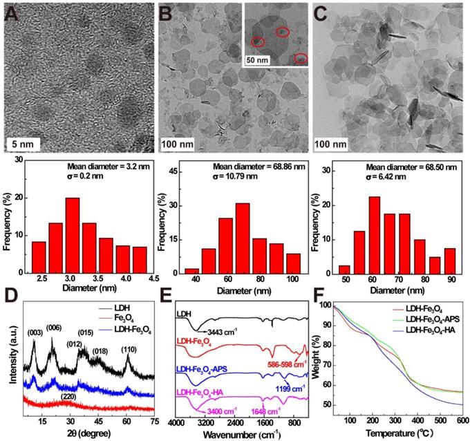 Theranostics Image