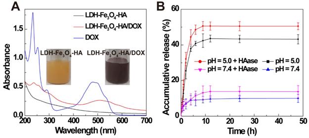 Theranostics Image