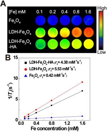 Theranostics Image