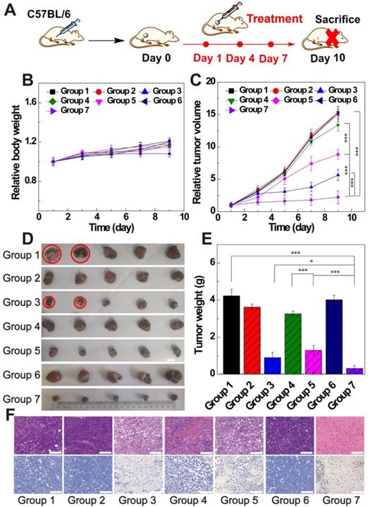 Theranostics Image