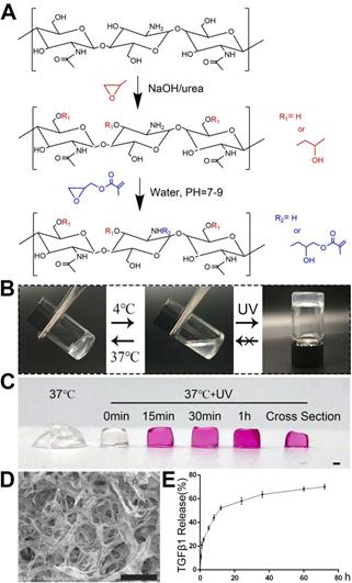 Theranostics Image