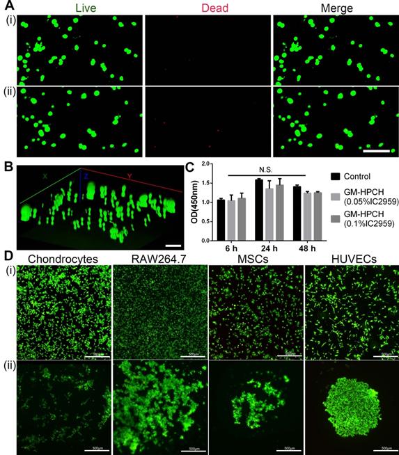 Theranostics Image