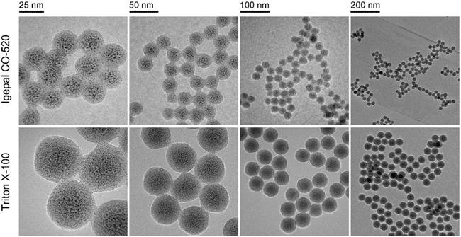 Theranostics Image