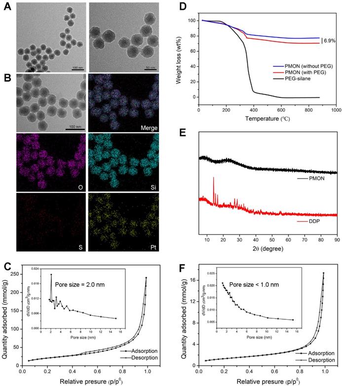 Theranostics Image