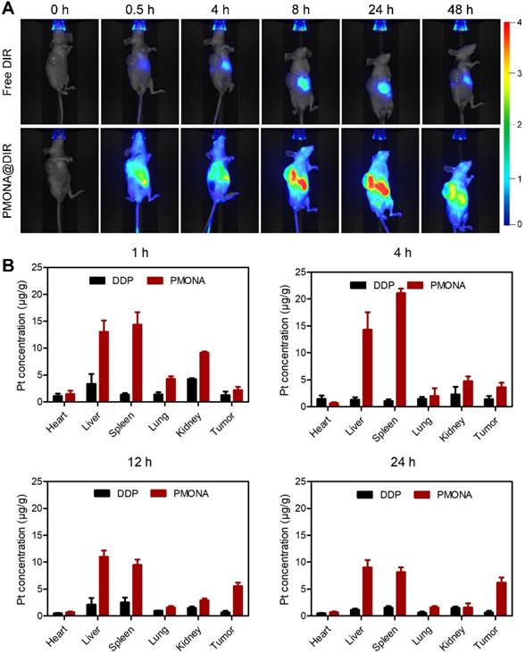 Theranostics Image