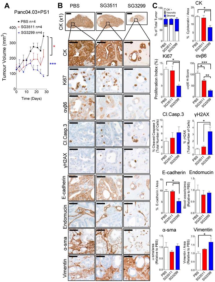 Theranostics Image