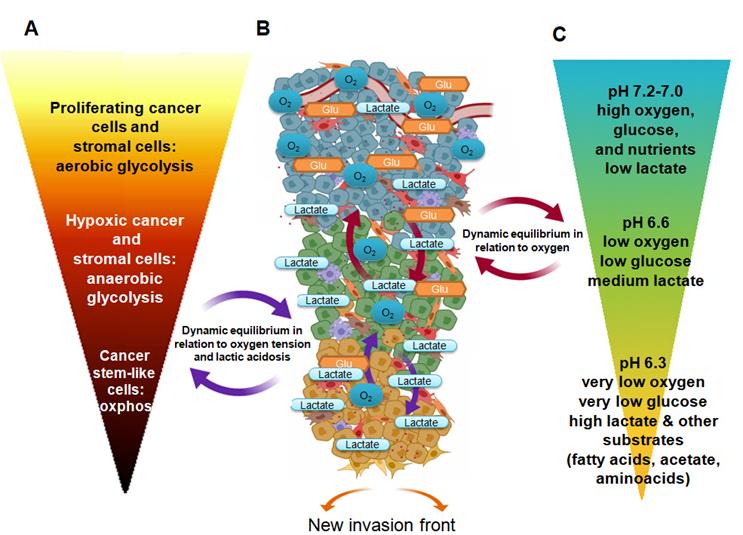 Theranostics Image