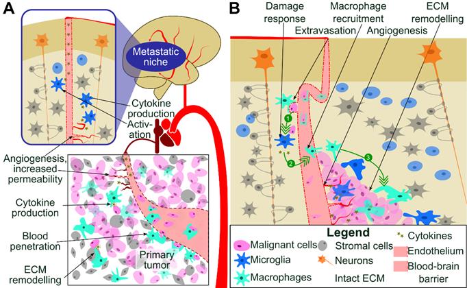 Theranostics Image