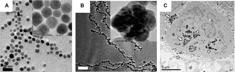 Theranostics Image